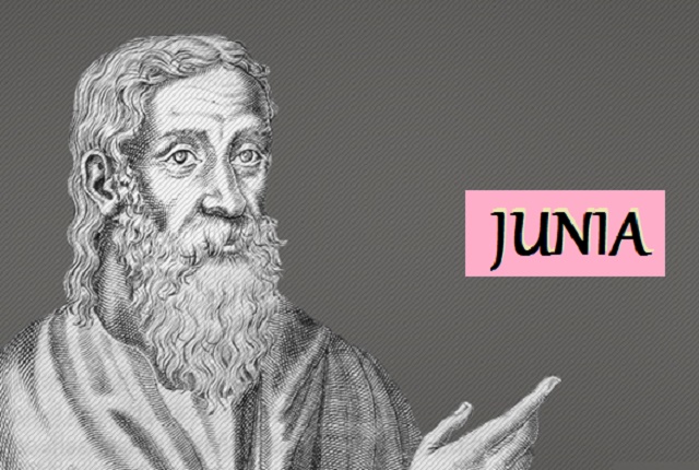 Origen on the Apostle Junia